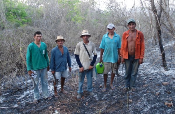 Os homens que apagaram o incêndio no terreno da família Bento, 05 Dezembro de 2011