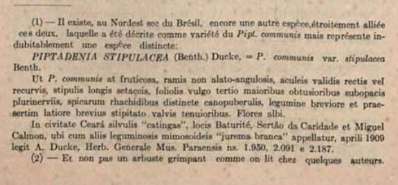 Nota de rodapé de Ducke 1930