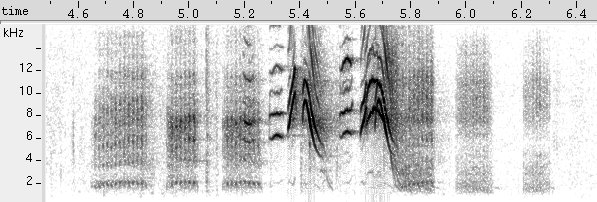 Abre-e-fecha sonogram