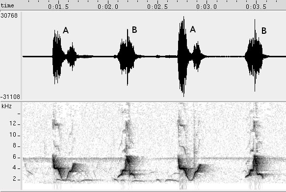 Abre-e-fecha sonogram