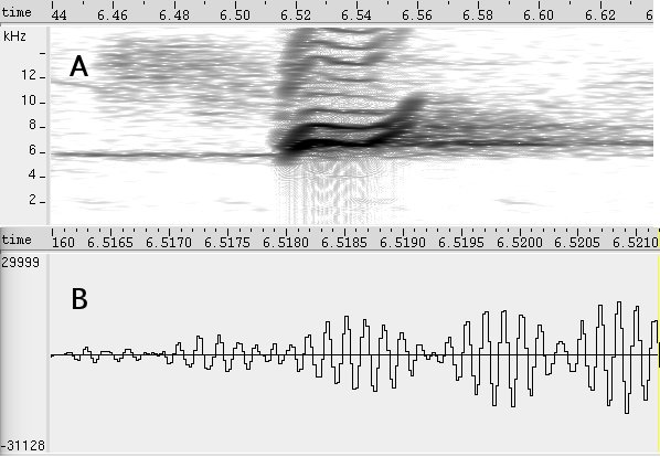 Abre-e-fecha sonogram