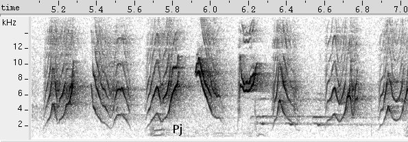 Abre-e-fecha sonogram