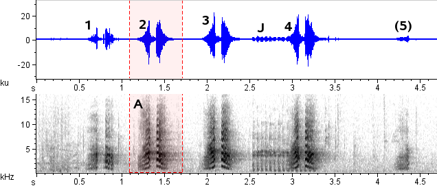 Pica-pau-ocráceo sonogram